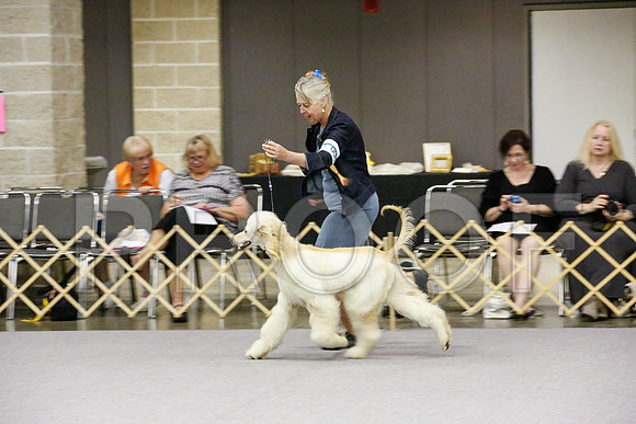 _JJ_9407-AfgBeltonOct2014-HR3
