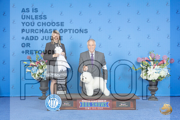 Bichon Frise #14 FRI G4 Judge Angela Pickett__JP_9555_Houston_2024_HR3