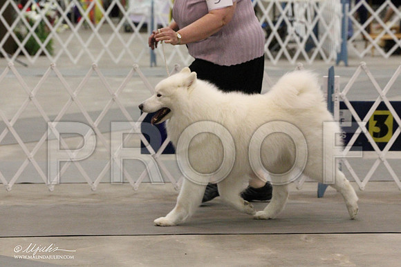 IMG_8922-Abilene2011-HR3