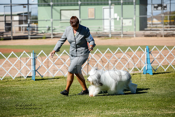 _JJ_2626-AlamogordoOct2014-HR3