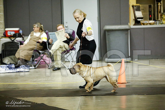 _JJ_5787-BeltonJan2015IABCA-HR3