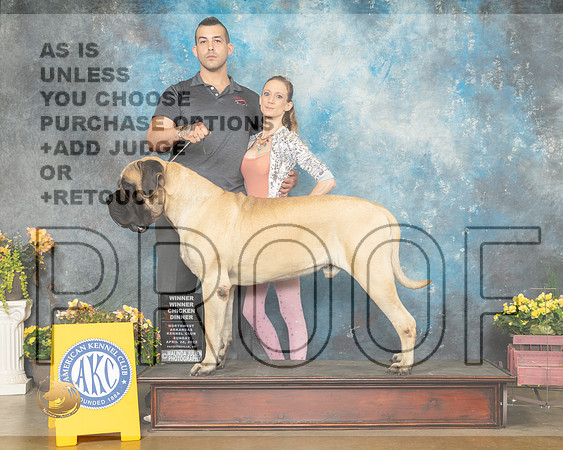 Mastiff #7 Sun Luper-MMJ_1300-NWARK2022-HR3