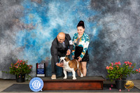 Bulldog #5 Sun WDBOS Judge Christie Martinez