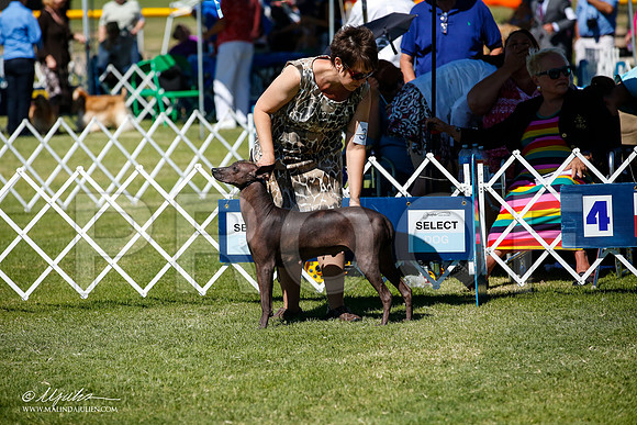 _JJ_8505-AlamogordoOct2014-HR3
