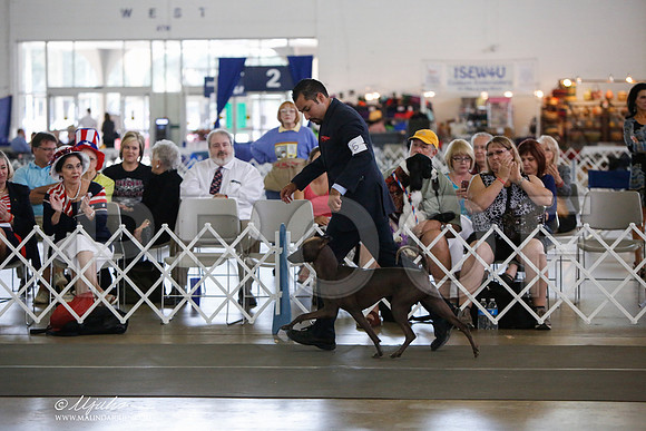 _JJ_2409-DallasJul2014-HR3