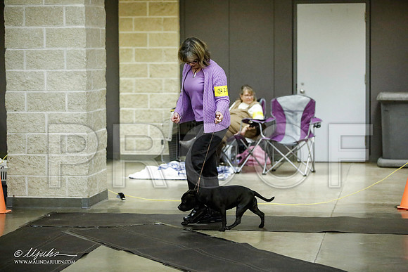 _JJ_6006-BeltonJan2015IABCA-HR3