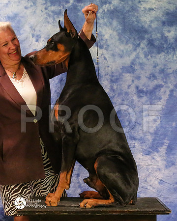 dobe-8189-MidFeb14-HR