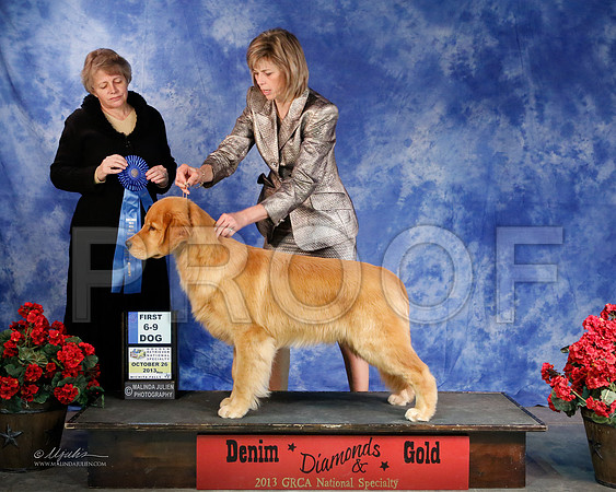 6-9D-5294-WFOct2013-HR