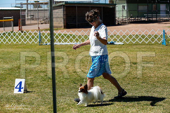 _JJ_0635-AlamogordoOct2014-HR3