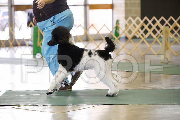 _LH_2863-BeltonJan2015-HR3