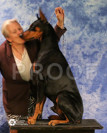 dobe-8181-MidFeb14-HR