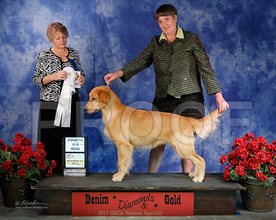 Pup6-9-8105-WFOct2013-HR