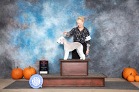 Bedlington Terrier #6 Sun BOS Judge Jan Paulk