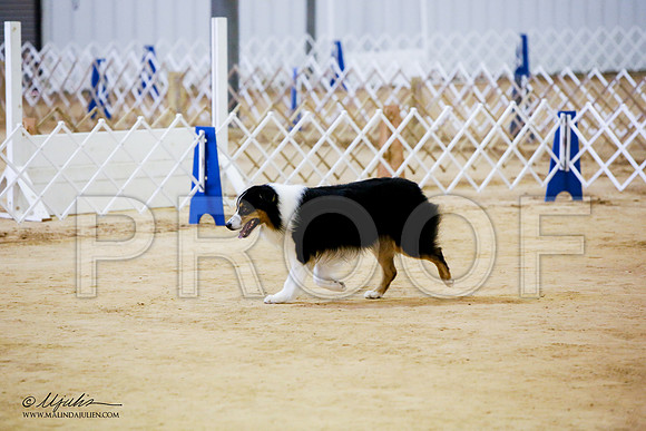 _JN_7302-ASCACollegeStationNov2014-HR3
