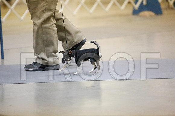 _JJ_8369-AmarilloSept2014-HR3