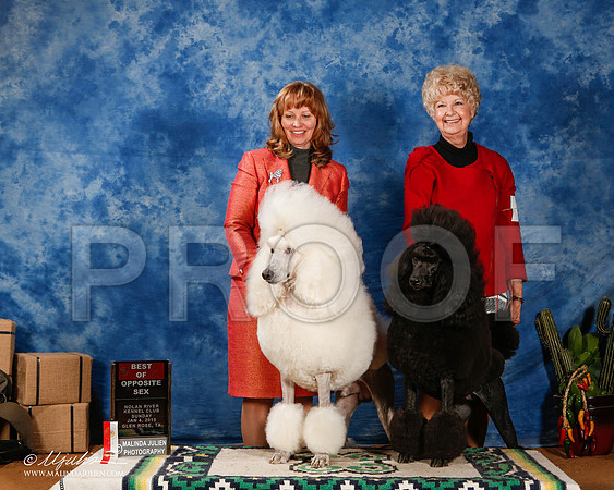 _ST_1441-2-GlenRoseJan2015-HR3