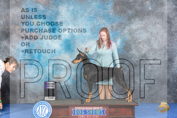 Doberman #28 WED WB Judge Alisa Brotherhood__JP_6703_Houston_2024_HR3
