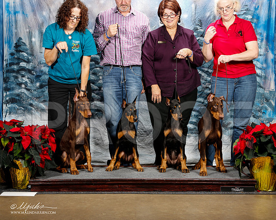 _ST_8198-2-DallasDec2014-HR3