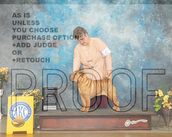 Chinese Shar Pei #6 Fri OHG1 Judge Betty Pollock-MMJ_9839-NWARK2022-HR3