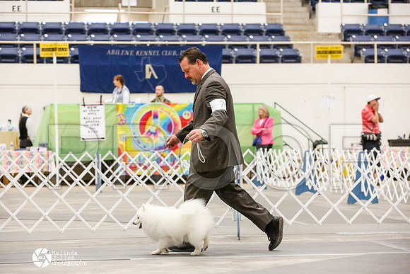 _JJ_7147-AblnMay2014-web