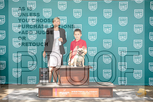 French Bulldog Fri DASH Judge Cindy Sannders__JP_1173_Longview WA_2024_HR3