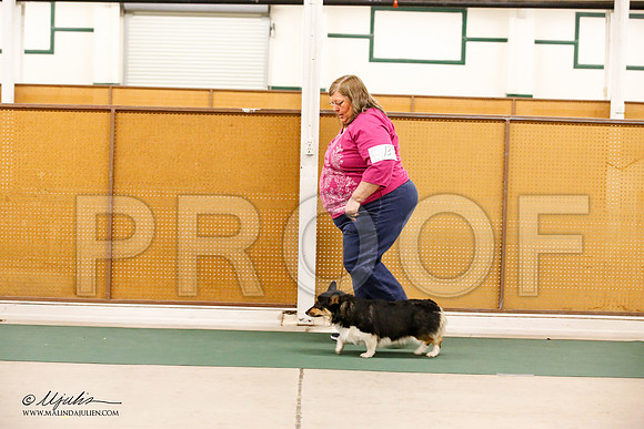 _JN_0256-NrmnNov2014-HR3