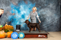 Boyking #11 Sun OHG4 Judge Shelley Hennessey