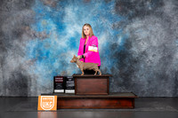 Teddy Roosevelt Terrier #178 Fri BOB G2 Judge Lila Fast