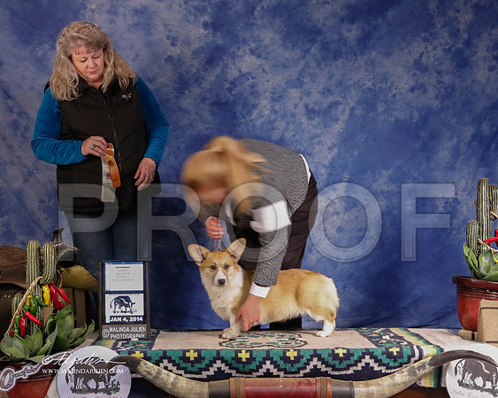 CorgPW-2880-GRJan14-HR