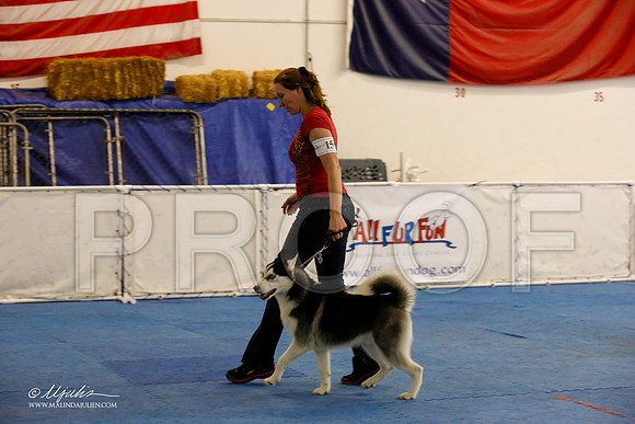 _M3_9434-AddisonHuskyMar2015-HR3