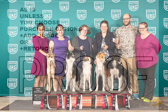 Silken Windhound Total Dogs__JP_2471_UKCEastern_2024_HR3