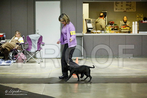 _JJ_6000-BeltonJan2015IABCA-HR3