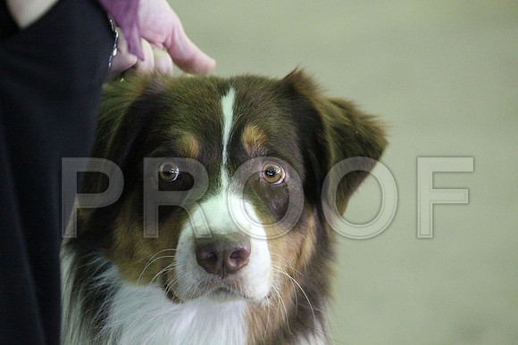 MJS_0341