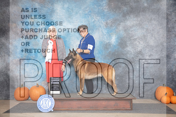 Belgion Malinois #5 Sun G4 Judge Jan Paulk__JP_9577_Humble_2024_HR3