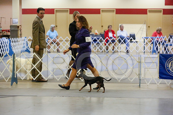 _JJ_0456-AmarilloSept2014-HR3
