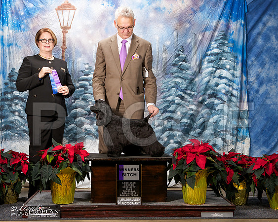 _ST_8045-DallasDec2014-HR3