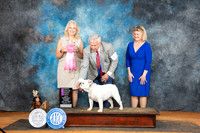Bulldog #12 Sun OHG1 Judge Pamela Wilson