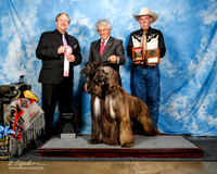 #306 Brace 1st Jaime Ganoza Judge David Frei AMD PD