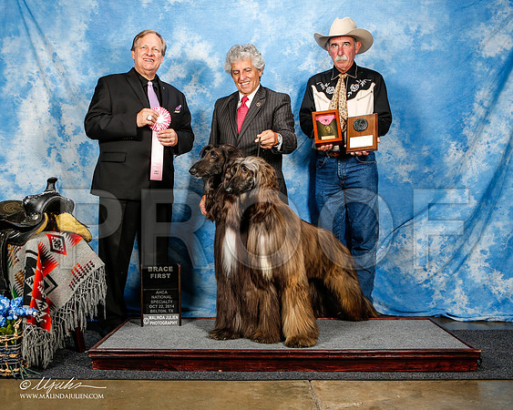_ST_4621-2-AfgBeltonOct2014-HR3