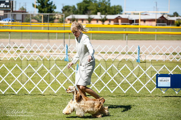 _JN_6740-AlamogordoOct2014-HR3