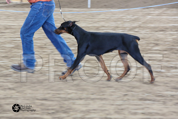 MJ2_0950-WacoFeb14-HR