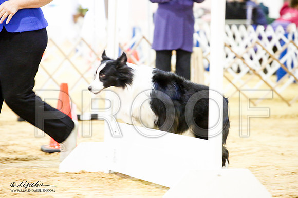 _JJ_4209-ASCACollegeStationNov2014-HR3