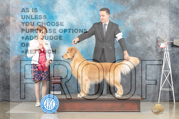 Golden Retriever #17 Sun G2 Judge Sharron Derrick_MJ_5063_Amarillo_2022_HR3