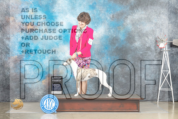 Whippet #10 Sun G4 Judge Sharon Derrick_MJ_5021_Amarillo_2022_HR3