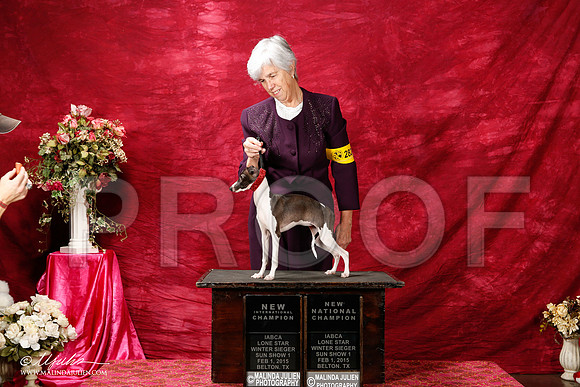 _ST_2770-2-BeltonJan2015IABCA-HR3