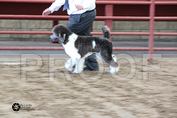 MJ2_0965-WacoFeb14-HR