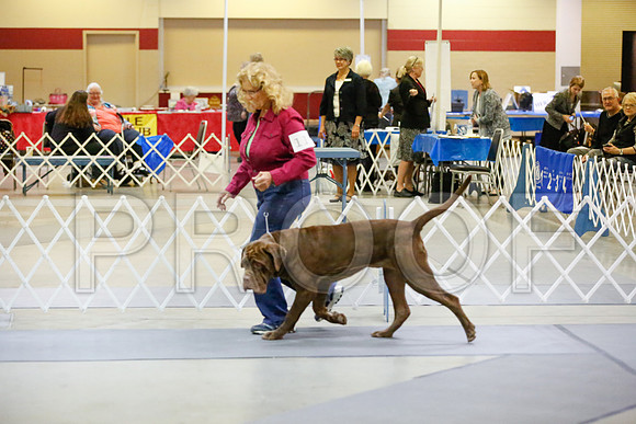 _JJ_6787-AmarilloSept2014-HR3