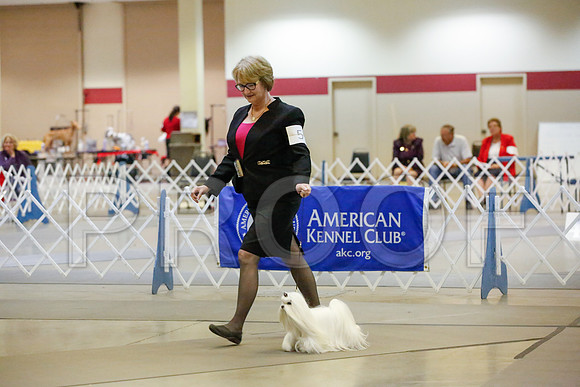 _JJ_1572-AmarilloSept2014-HR3