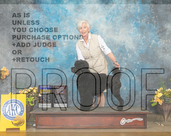 Portuguese Water Dog #6 Thur BOB OHBOB Judge John Wade-MMJ_8795-NWARK2022-HR3