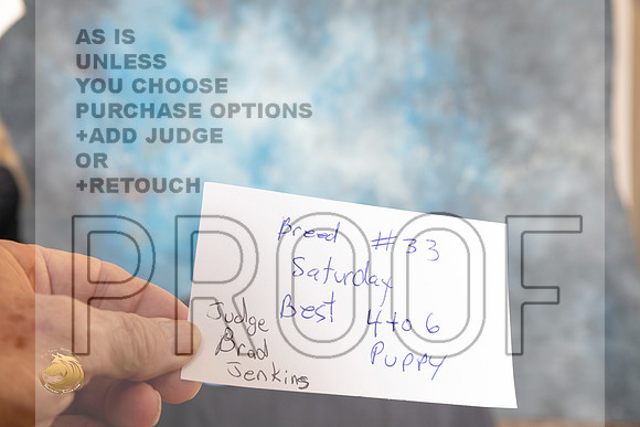 Papillon #33 Sat BPup Judge Brad Jenkins_MJ_0216_HstnTOY_2022_HR3